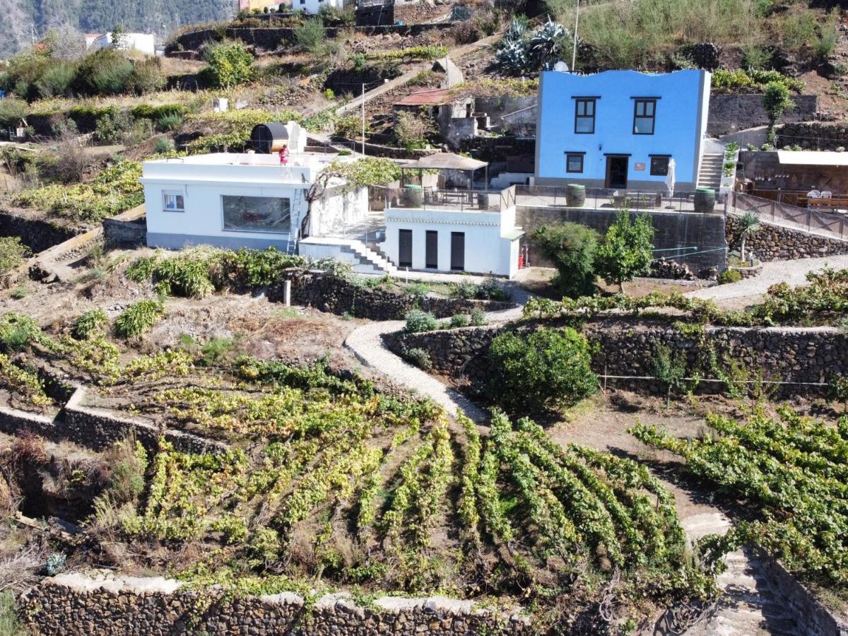 Ek Teide Finca El Milagro La Orotava Dış mekan fotoğraf