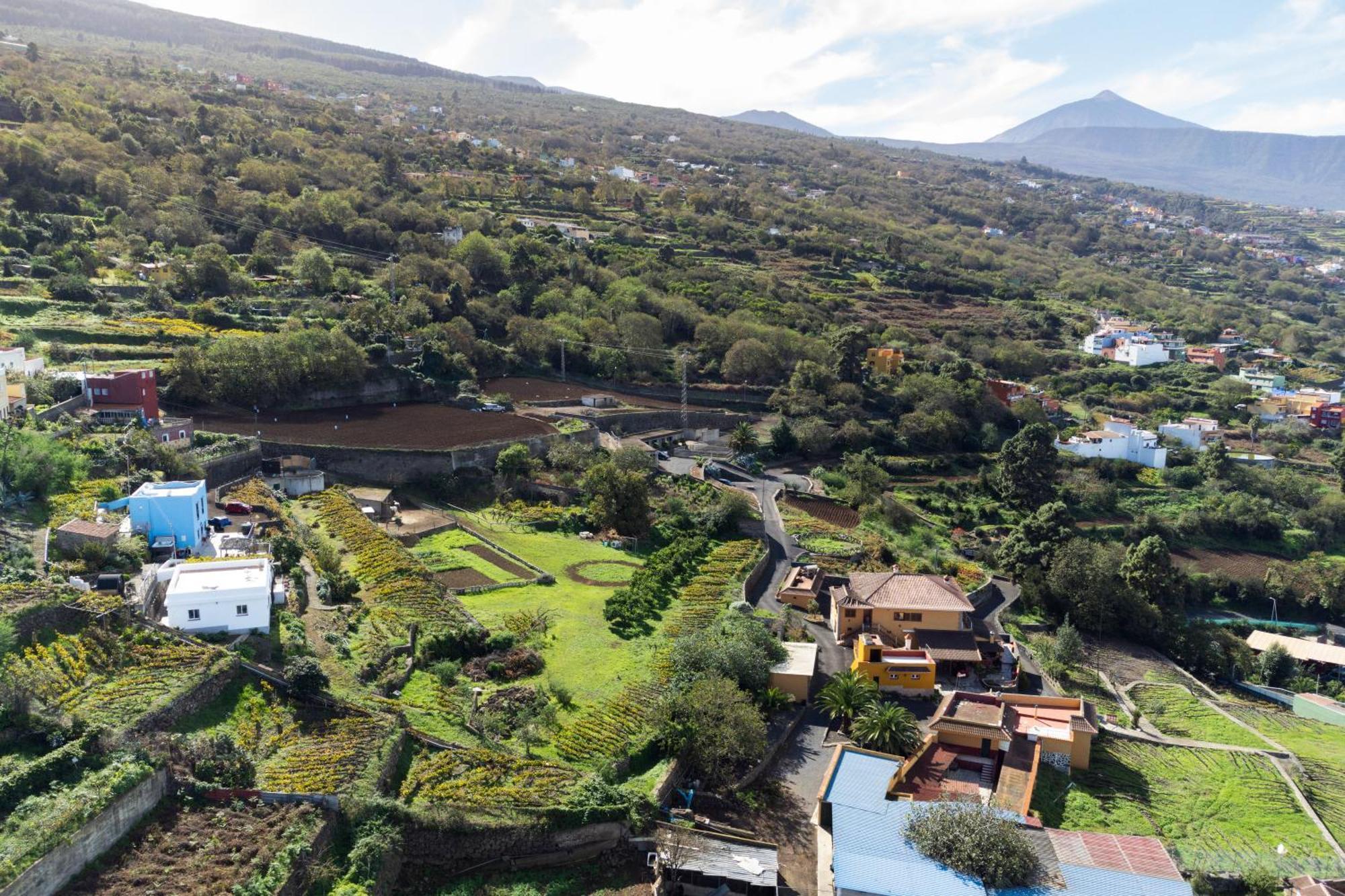 Ek Teide Finca El Milagro La Orotava Dış mekan fotoğraf