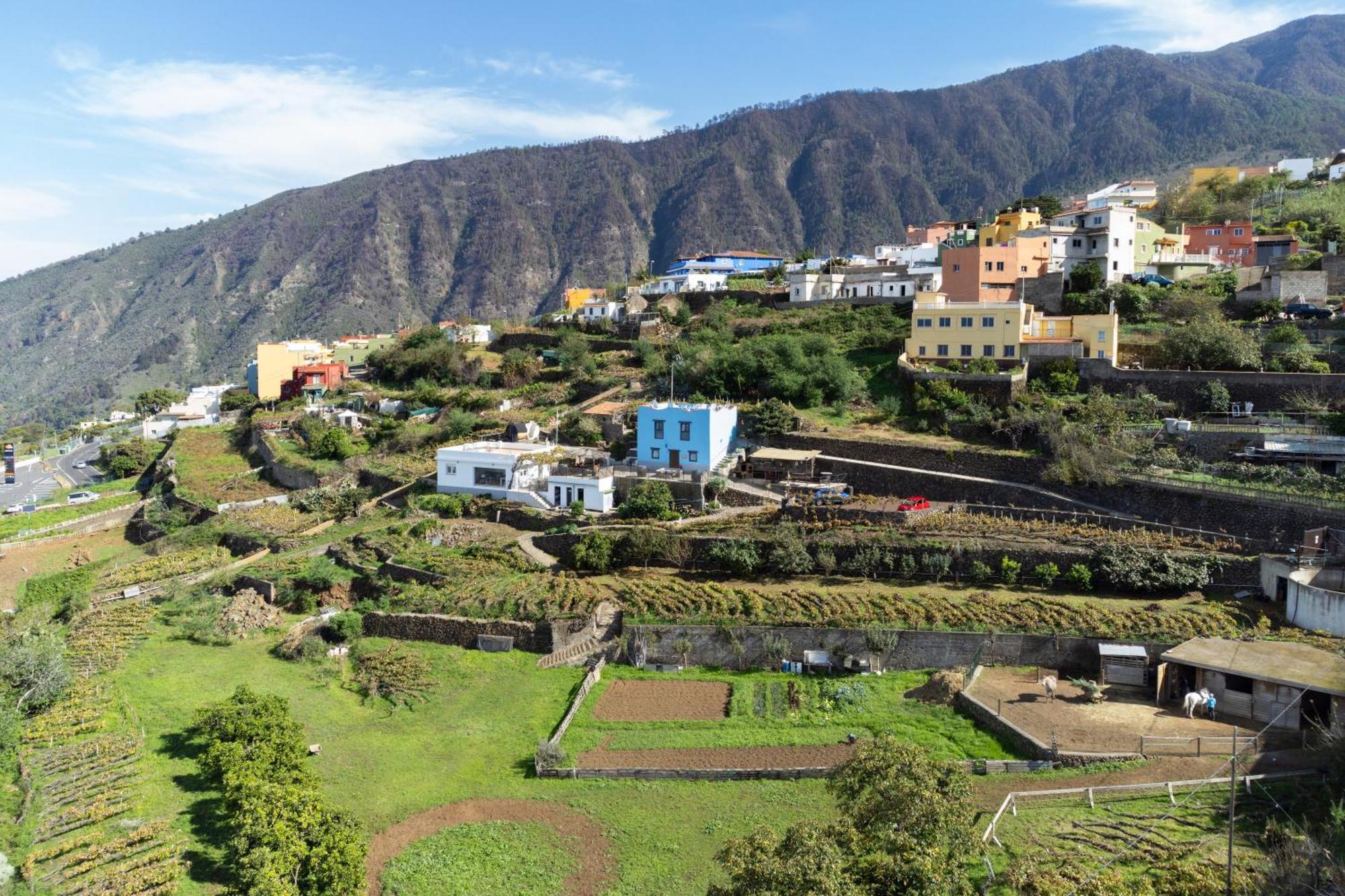 Ek Teide Finca El Milagro La Orotava Dış mekan fotoğraf