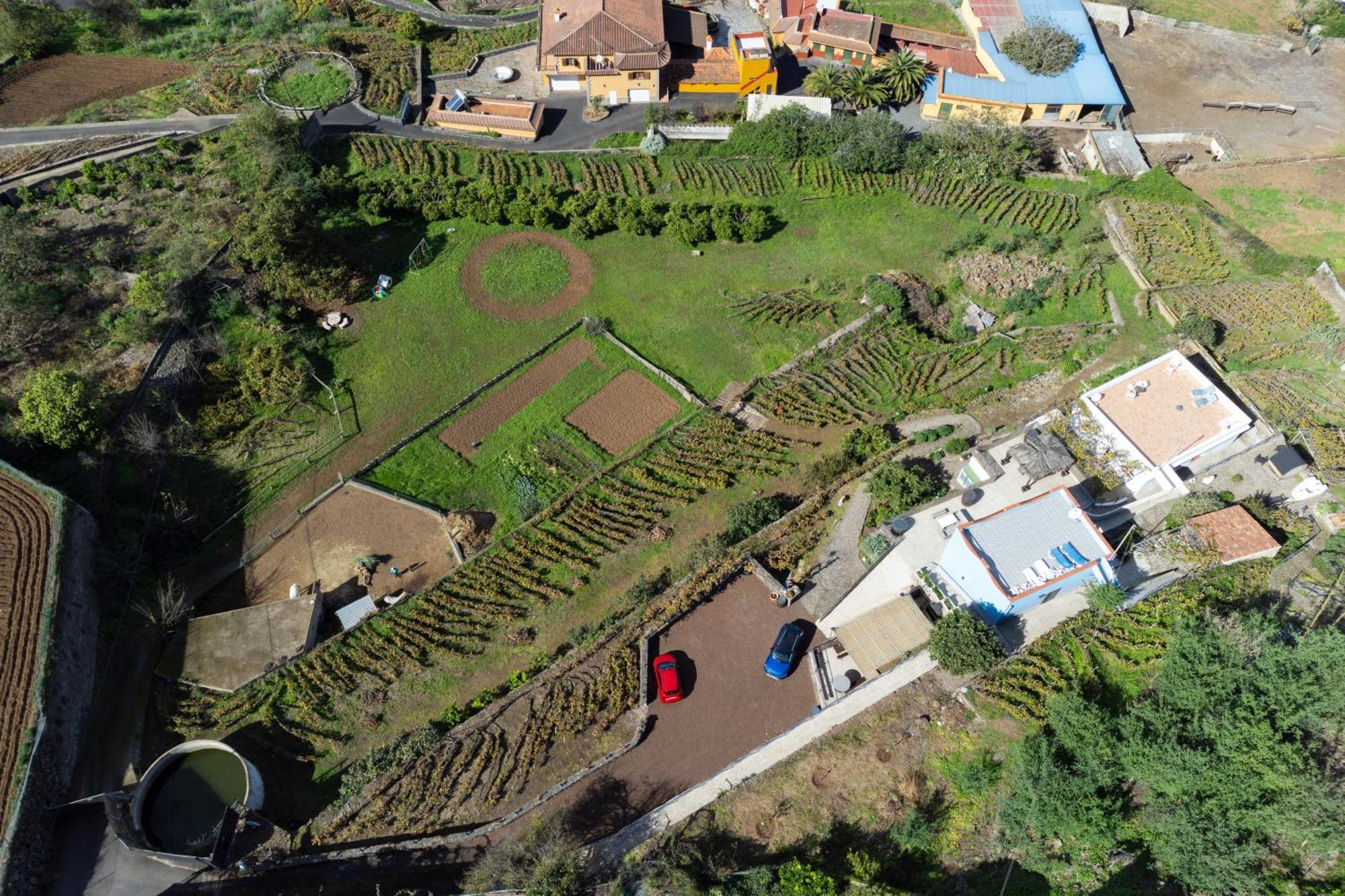 Ek Teide Finca El Milagro La Orotava Dış mekan fotoğraf