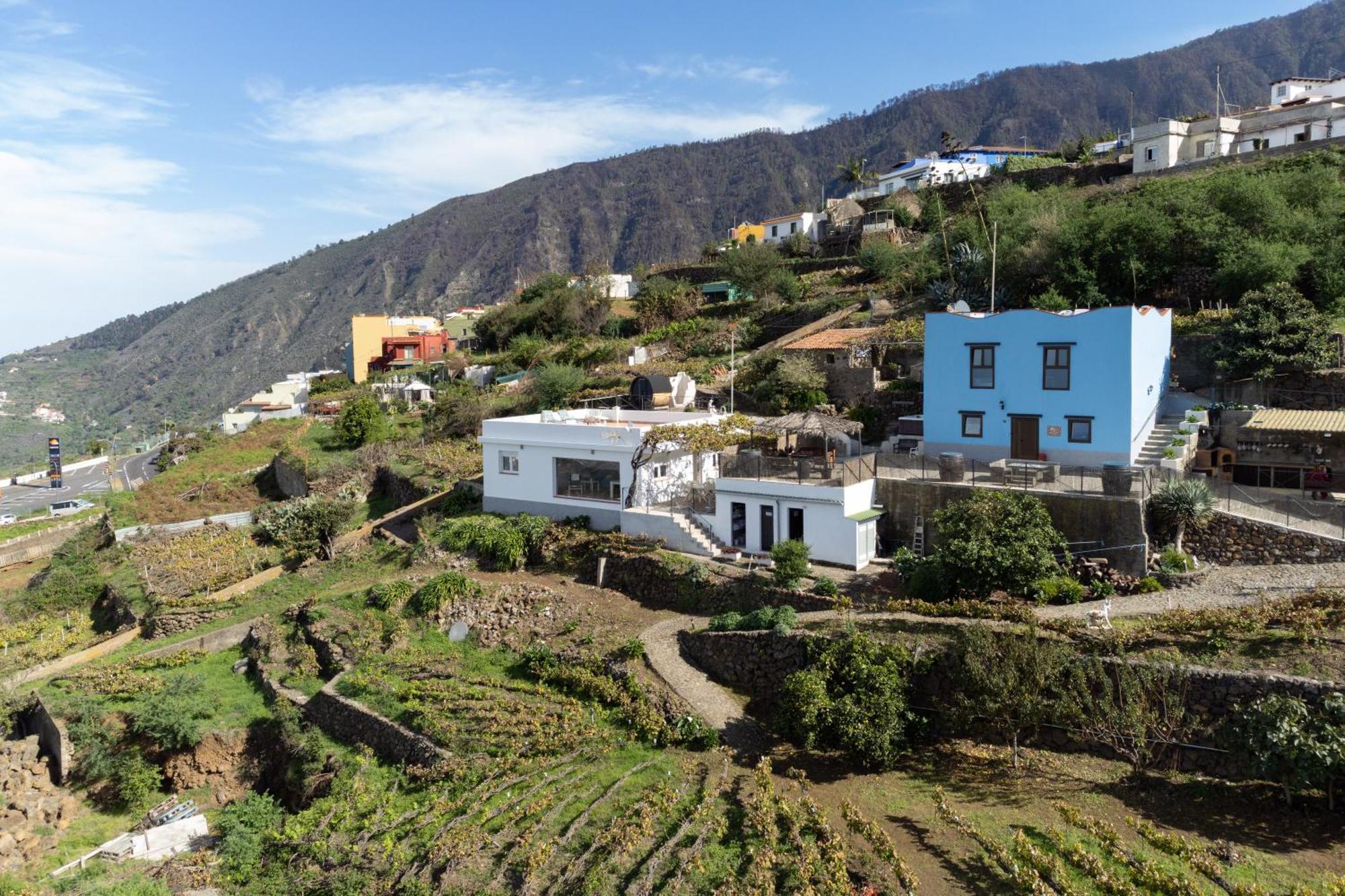 Ek Teide Finca El Milagro La Orotava Dış mekan fotoğraf
