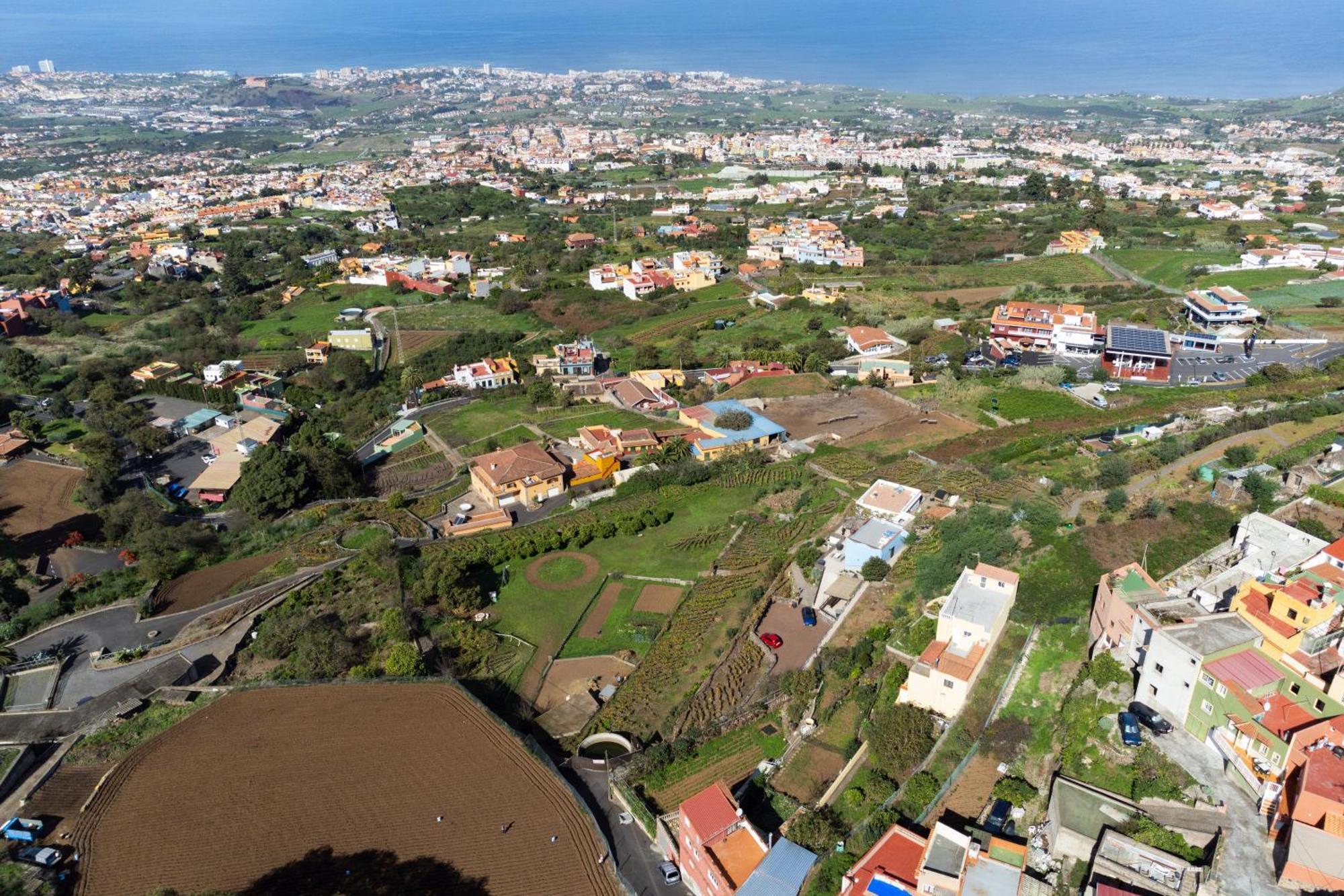 Ek Teide Finca El Milagro La Orotava Dış mekan fotoğraf