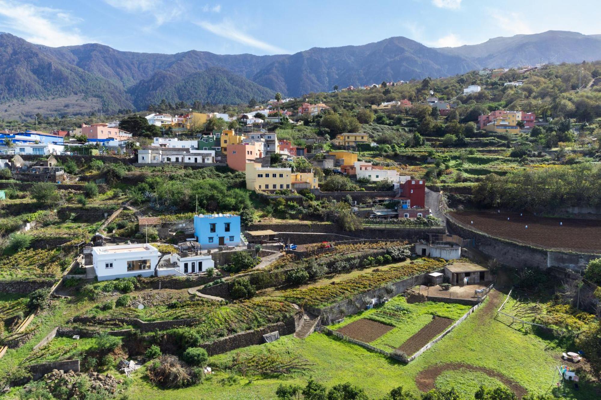 Ek Teide Finca El Milagro La Orotava Dış mekan fotoğraf