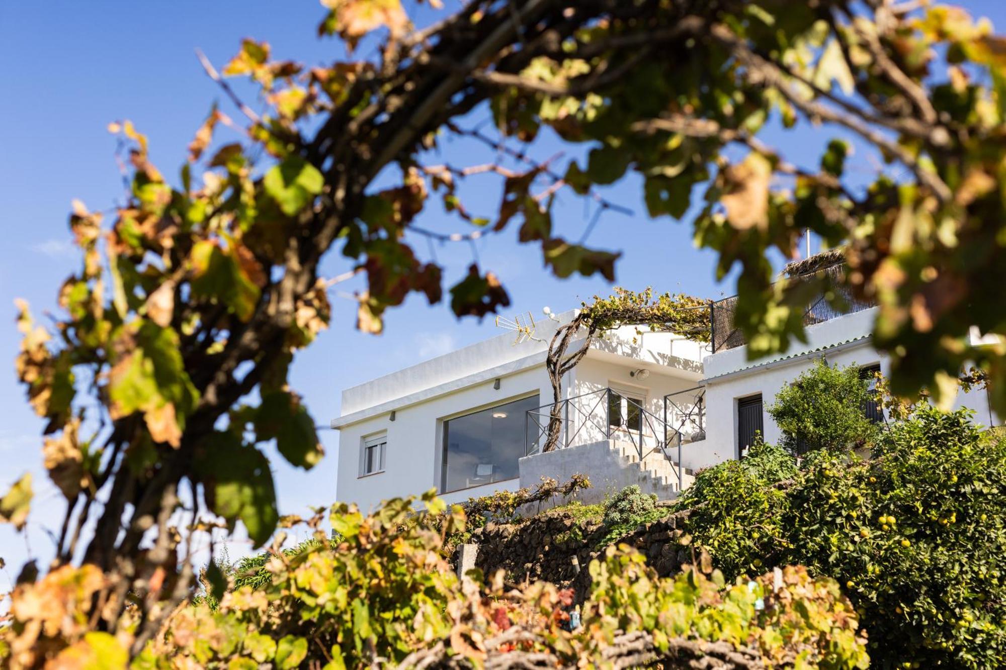 Ek Teide Finca El Milagro La Orotava Dış mekan fotoğraf